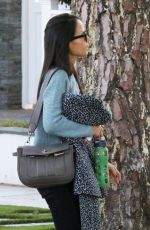 JORDANA BREWSTER Out and About in Los Angeles 11/20/2015