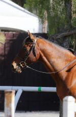 KALEY CUOCO Riding Horse at Flintridge Riding Club in Los Angeles 11/27/2015
