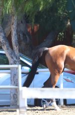 KALEY CUOCO Riding Horse at Flintridge Riding Club in Los Angeles 11/27/2015