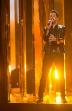 KAREN FAIRCHILD at 2015 American Music Awards in Los Angeles 11/22/2015