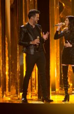 KAREN FAIRCHILD at 2015 American Music Awards in Los Angeles 11/22/2015