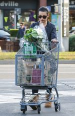 LEA MICHELE Out Shopping in Brentwood 11/29/2015