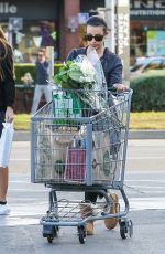 LEA MICHELE Out Shopping in Brentwood 11/29/2015