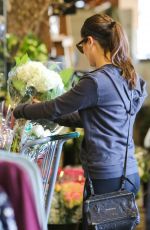 LEA MICHELE Out Shopping in Brentwood 11/29/2015