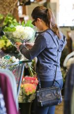 LEA MICHELE Out Shopping in Brentwood 11/29/2015