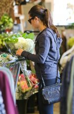 LEA MICHELE Out Shopping in Brentwood 11/29/2015