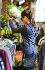 LEA MICHELE Out Shopping in Brentwood 11/29/2015