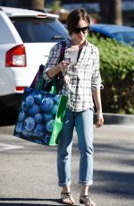 LILY COLLINS Out Shopping in Los Angeles 11/23/2015