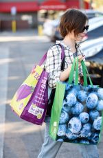 LILY COLLINS Out Shopping in Los Angeles 11/23/2015