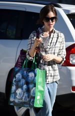LILY COLLINS Out Shopping in Los Angeles 11/23/2015
