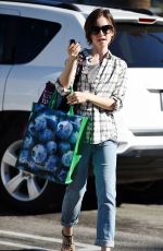 LILY COLLINS Out Shopping in Los Angeles 11/23/2015