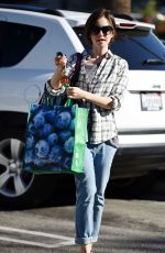 LILY COLLINS Out Shopping in Los Angeles 11/23/2015