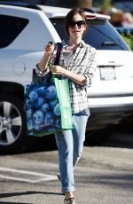 LILY COLLINS Out Shopping in Los Angeles 11/23/2015