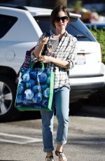 LILY COLLINS Out Shopping in Los Angeles 11/23/2015