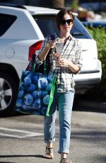 LILY COLLINS Out Shopping in Los Angeles 11/23/2015
