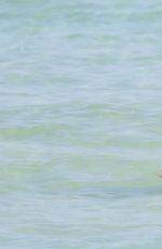 LUCY ARAGON in Bikini at a Beach in Miami 11/14/2015