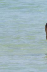 LUCY ARAGON in Bikini at a Beach in Miami 11/14/2015