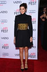 MARISA TOMEI at AFI Fest 2015 Closing Gala in Hollywood 11/12/2015