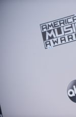 MEREDITH MICKELSON at 2015 American Music Awards in Los Angeles 11/22/2015