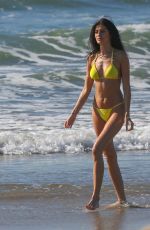 NICOLE WILLIAMS in Bijini on the Set of a Photoshoot at a Beach in Los Angeles 11/13/2015