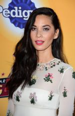 OLIVIA MUNN at All-star Dof Rescue Celebration in Santa Monica 11/21/2015