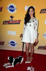 OLIVIA MUNN at All-star Dof Rescue Celebration in Santa Monica 11/21/2015