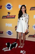 OLIVIA MUNN at All-star Dof Rescue Celebration in Santa Monica 11/21/2015
