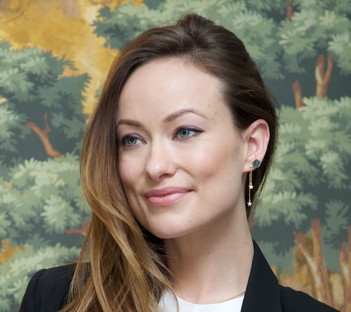 OLIVIA WILDE at Vinyl Press Conference Portraits in New York 11/21/2015 - HawtCelebs