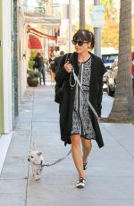 SELMA BLAIR Walks Her Hog Ducky Out in Beverly Hills 11/11/2015