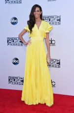 TERRI SEYMOUR at 2015 American Music Awards in Los Angeles 11/22/2015