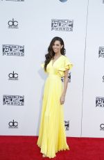 TERRI SEYMOUR at 2015 American Music Awards in Los Angeles 11/22/2015