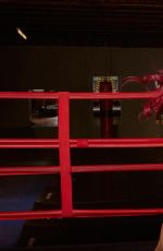 WWE - Divas Fight Club
