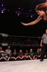 WWE - iMPACT Digitals 11/04/2015