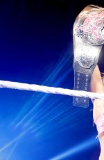 WWE in Belfast, Northern Ireland