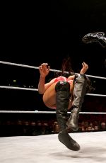 WWE in Belfast, Northern Ireland