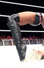 WWE in Dublin, Ireland Digitals, November 2015