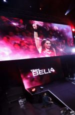 WWE in Dublin, Ireland Digitals, November 2015