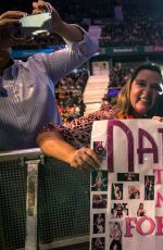WWE in Madrid
