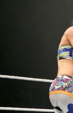 WWE in Minehead