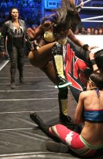 WWE in Nottingham