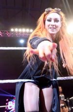 WWE in Nottingham
