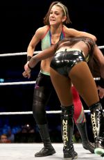 WWE in Nottingham