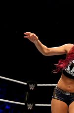 WWE in Nottingham