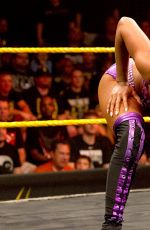 WWE - NXT Digitals 11/04/2015