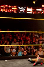 WWE - NXT Digitals 11/04/2015