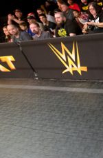 WWE - NXT Digitals 11/11/2015