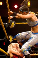 WWE - NXT Digitals 11/18/2015