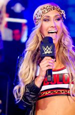WWE - NXT Digitals 11/18/2015