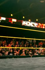 WWE - NXT Digitals 11/18/2015