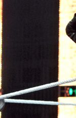 WWE - Raw Digitals 11/23/2015